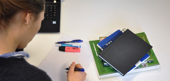 Blogginnlegg studenter
